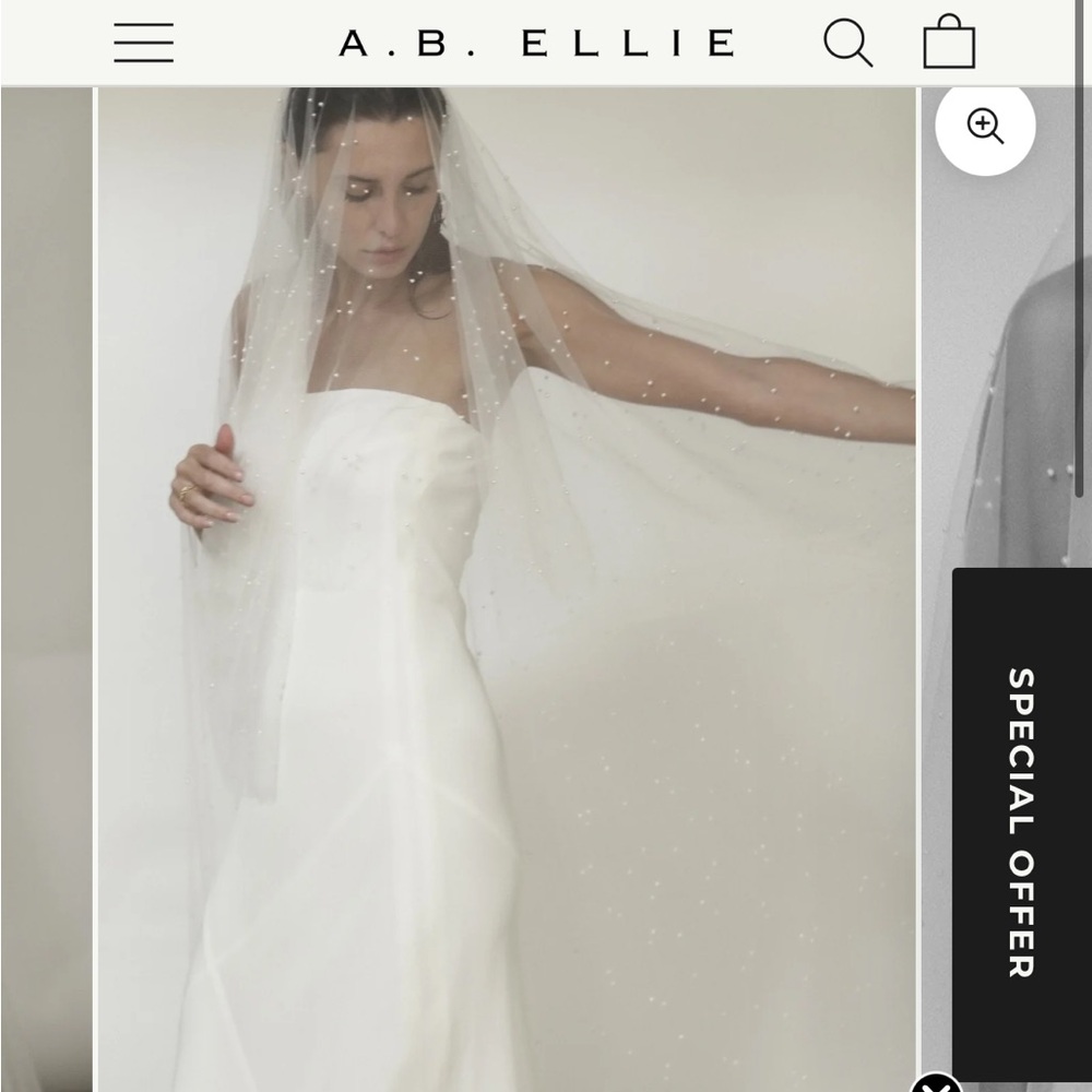 Elegant White Bridal Veil
